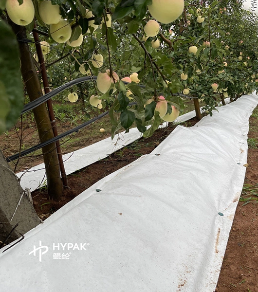 Hypak flashspun™Para película de mantillo agrícola