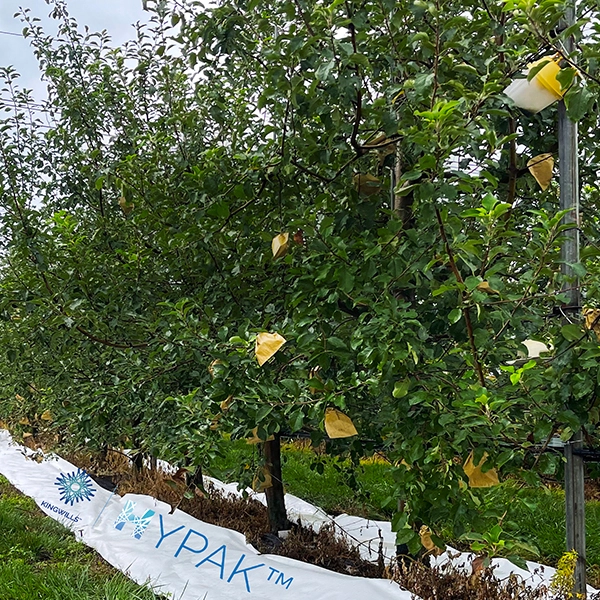 Aplicación agrícola